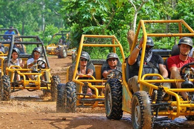 Buggies